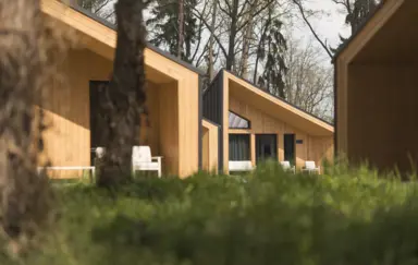 Sosnowa Korona - Ośrodek Wypoczynkowy - zdjęcie 3