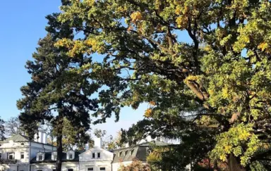 Pałac Ślężany - photo 2