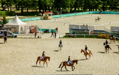 Stado Ogierów w Bogusławicach Zawody