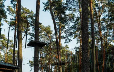 Nadbużański Ośrodek Edukacji Ekologicznej Brok