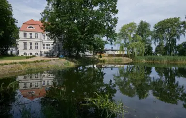 Pałac Rajkowo - zdjęcie 5