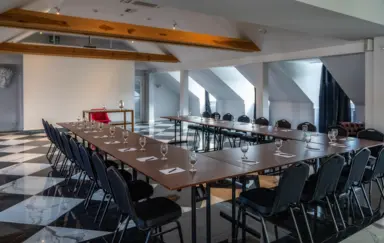 Hotel Pałac Alexandrinum - photo 4