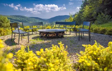 Miodowa Klinika palenisko