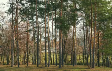 Hotel Nowodwory Ciechanowiec otoczenie
