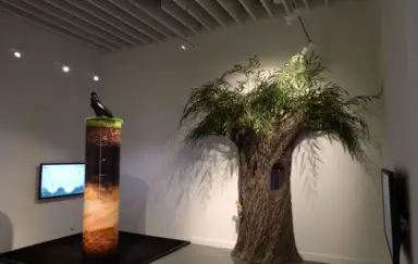 Osrodek Muzealno-Edukacyjny w Słonsku