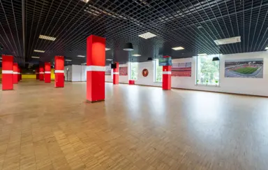 Stadion Widzew Łódź - zdjęcie 3