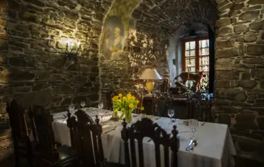 Zamek Dubiecko - photo 5