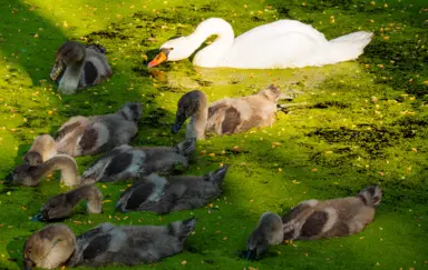 Centrum Konferencyjne RESET - photo 5