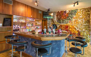 Hotel Tatry Polana Zgorzelisko Murzasichle bar