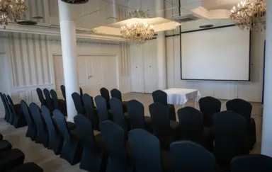 Pałac Domaniowski - photo 2