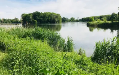 Stawy Green Garden Hotel