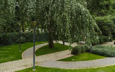 PURO Wrocław Stare Miasto - zdjęcie 4