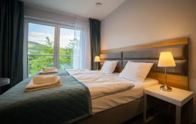 Hotel i Apartamenty pod Śnieżnikiem Pokój Hotelowy