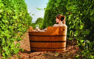 WInnica Pałac Mierzęcin