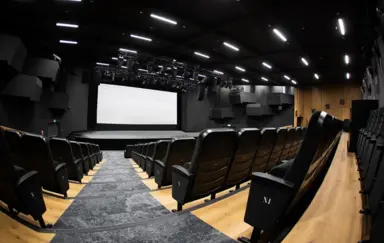 Sala widowiskowa/kinowa