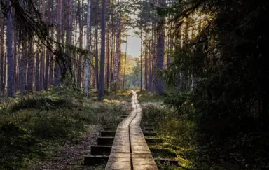 Hotel Azzun Orient SPA & Wellness - photo 2