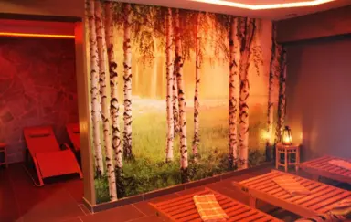 Montebello Business & Spa Ustron