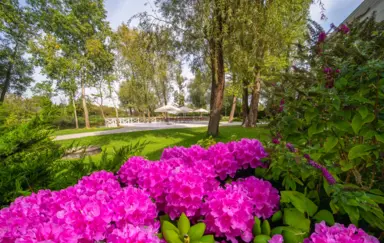 Green Garden Hotel - zdjęcie 3