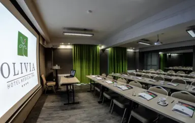 Hotel Olivia Medical Spa - photo 2