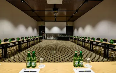 Zamek Janów Podlaski - photo 3