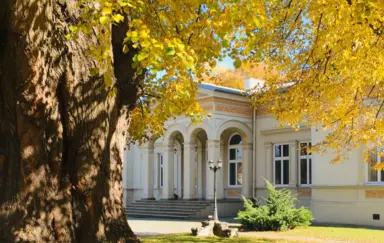 Pałac Minoga - zdjęcie 5