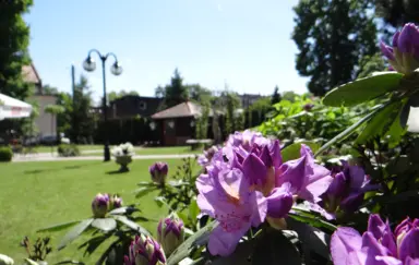Hotel i Restauracja Adria - zdjęcie 4
