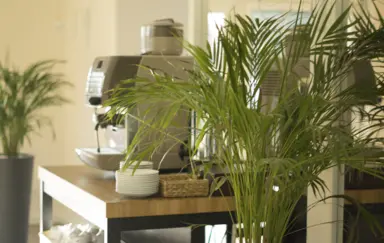 Dworek Pod Platanem - zdjęcie 2