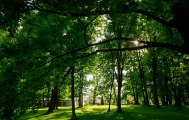 Pałac otulony parkiem