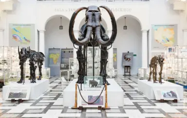 Muzeum Geologiczne Państwowego Instytutu Geologicznego Warszawa