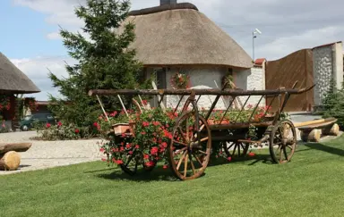 Dom Wypoczynkowy Pod Strzechą w Giewartowie - zdjęcie 4