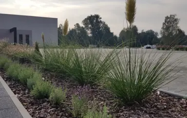 Jordaszka Wodzislaw Slaski konferencje