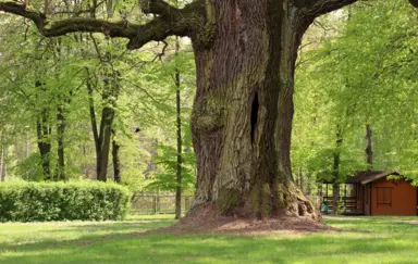 Hotel nad Mrogą - photo 3