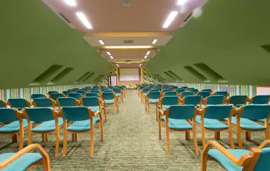 sala Wiosenna układ kinowy / jeden ekran /