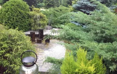 Hotel Europejski Nysa otoczenie