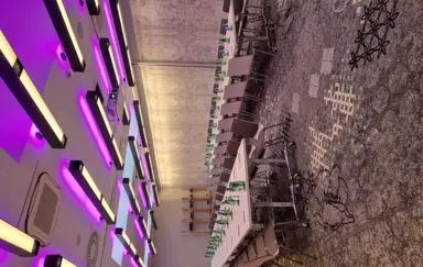 Mercure Kraków Stare Miasto - photo 4