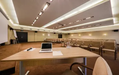 Hotel Borowiecki - zdjęcie 3