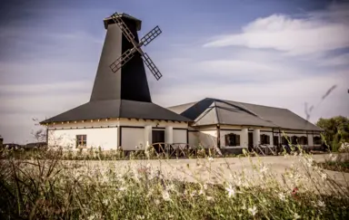 Pałac Wąsowo - photo 2