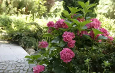 Hotel & Restauracja "Dwa Księżyce" - photo 4