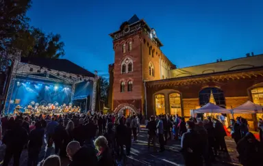 Koncerty na dziedzińcu