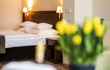 Dosłońce Resort Wellness & Farm pokoj