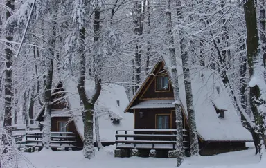 Ośrodek Wypoczynkowy MORSKO PLUS SP.ZO.O. - zdjęcie 4