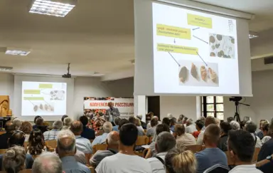 Gospodarstwo Pasieczne  Sądecki Bartnik - zdjęcie 5