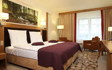 Pokój typu Superior