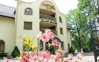 Hotel Dworek Skawiński - zdjęcie 2