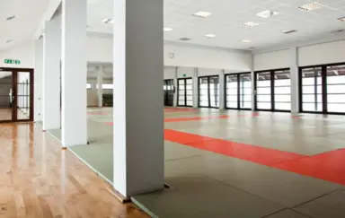 Dojo Stara Wies Sala Wielofunkcyjna