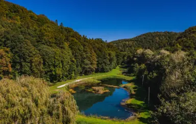 Rózin Pstrągarnia - otoczenie