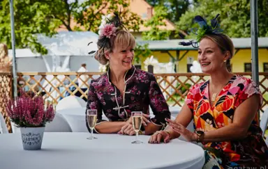 Wrocławski Tor Wyścigów Konnych - Partynice - zdjęcie 3