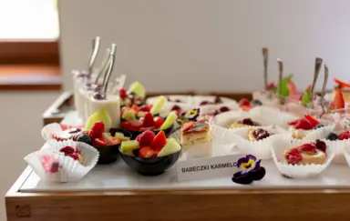 Pałac Wierzbiczany - zdjęcie 4