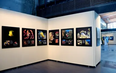 ATM Scena na Bielanach Bielany Wroclawskie