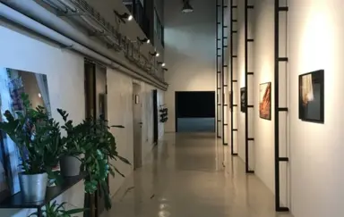 Studio Las - zdjęcie 3